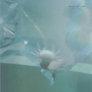 看全色黄大色黄大片美女动画片巨乳
